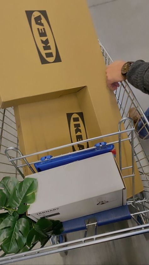 Home Shopping Aesthetic, Swedish Lifestyle Aesthetic, Ikea Date Aesthetic, Ikea Shopping Aesthetic, Odette Stone, Ikea Date, Plant Pic, Swedish Aesthetic, Danish Aesthetic