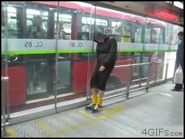 Those Awkward Moments In GIF Format Drunk Fails, Mister V, Drunk Humor, In Gif, Can't Stop Laughing, Awkward Moments, Funny Cute, Funny Dogs, I Laughed