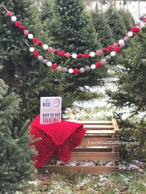 Outdoor Christmas Trees, Christmas Tree Farm Pictures, Christmas Tree Farm Mini Session, Christmas Photoshoot Kids, Outdoor Christmas Photos, Diy Christmas Photoshoot, Tree Farm Photo Shoot, Christmas Tree Farm Photo Shoot, Tree Farm Mini Session