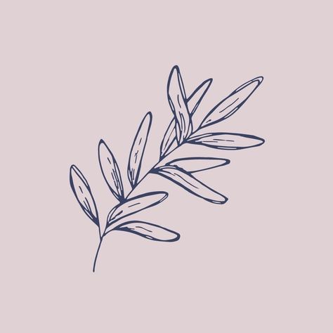 Line Art Icons, Feminine Tattoo Ideas, Brand Design Ideas, Garden Cactus, Plant Icon, Desert Sage, Color Wallpaper Iphone, Sage Leaves, Feminine Tattoo