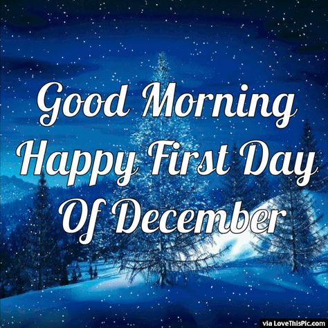 Good Morning Happy First Day Of December Gif Quote December 1st Quotes, Welcome December Images, Welcome December Quotes, Hello December Quotes, Happy New Month Messages, Hello December Images, Happy New Month Quotes, First Day Of December, New Month Wishes