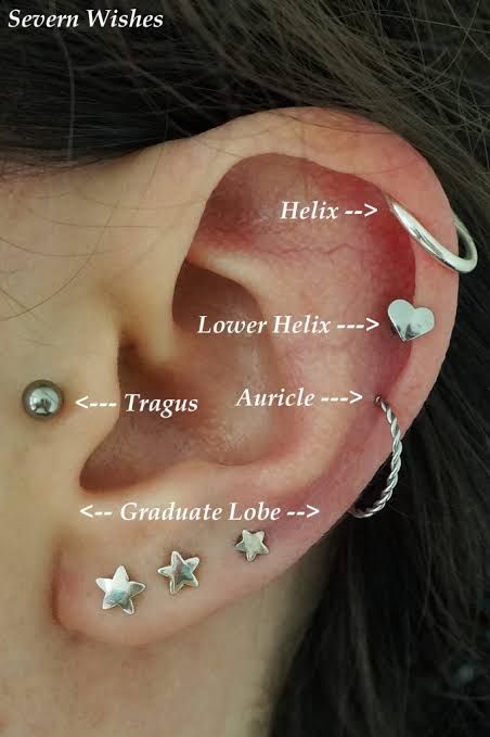 https://encrypted-tbn0.gstatic.com/images?q=tbn%3AANd9GcT0kB3xxzf9RyIgMB-oDLAS7lYFr60VpmPmzA&usqp=CAU Low Helix Piercing, Helix Piercing, Tragus, Helix, Ear Cuff, Diamond Earrings, Cuff, Google Search, Photography