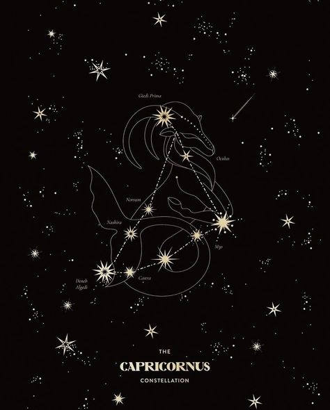 Zodiac Art Capricorn, Capricorn Core, Capricorn Wallpaper, Capricorn Symbol, Headboard Art, Capricorn Aesthetic, Weird Stickers, Capricorn Art, Capricorn Constellation