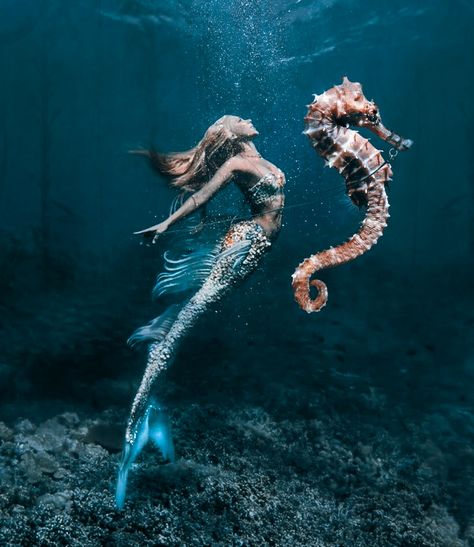 Kristina Webb, Bawah Air, Mermaid Artwork, Fantasy Mermaids, Mermaid Photos, Under The Water, Mermaid Pictures, Mermaid Dreams, Mermaids And Mermen