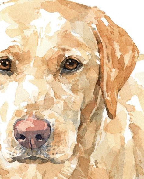 Labrador Retriever Painting, Yellow Lab Watercolor, Dog Draw, Labrador Retriever Art, Lab Art, Labrador Art, Labs Art, Dog Illustrations, Black Dogs