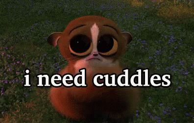 I Need Cuddles GIF - INeedCuddles Mort INeddHug - Discover & Share GIFs Cuddle Memes Couples Funny, Cuddle Pictures Mood Cartoon, I Need Cuddles Quotes, Need Cuddles Quotes, Cuddling Meme, Want Cuddles, Cuddle Pictures Mood, Need Cuddles, I Need Cuddles