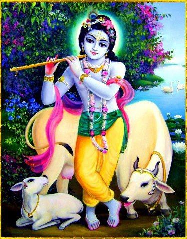 Gopala Krishna Vasudeva Krishna, Gopala Krishna, Krishna Bhakti, Krishna Das, Iskcon Krishna, Krishna Avatar, Krishna Krishna, Krishna Hindu, Krishna Drawing