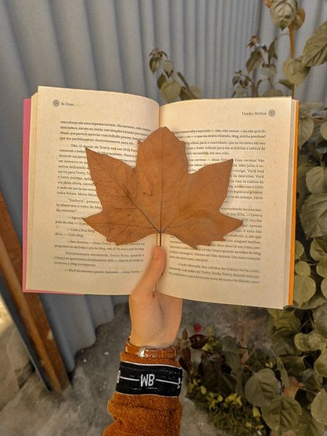 Livro, lendo livro no ônibus, wallpaper de livro, livro aesthetic Book, reading book on the bus, book wallpaper, aesthetic book Casal segurando folha de outono do Canadá, laranja, vintage core Couple holding autumn leaf from Canada, orange, vintage color Book Wallpaper Aesthetic, Aesthetic Book Reading, Vintage Core, Book Wallpaper, Book Reading, Autumn Leaf, Vintage Color, Reading Book, The Bus