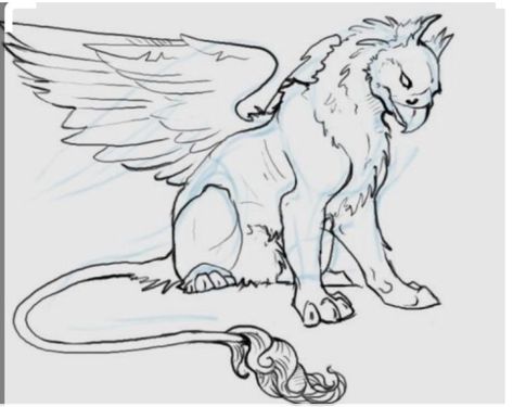 Gryphon Tattoo, Griffin Drawing, Griffin Mythical, Free Draw, Hybrid Art, Super Powers Art, Fantasy Beasts, Creature Drawings, Unicorn Art