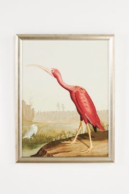 Audubon Prints, Den Office, Babe Cave, Wendover Art, Wendover Art Group, Bird Art Print, Bhldn Weddings, Natural Frame, Botanical Wall Art