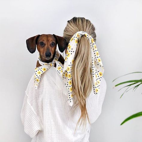 Human and dog matching scarves from shopdogthreads.com Dog Club, Dog Photoshoot, Silk Bandana, Dog Scarfs, Bandana Scarf, Dog Costumes, Dog Photography, Diy Dog Stuff, Dog Photos