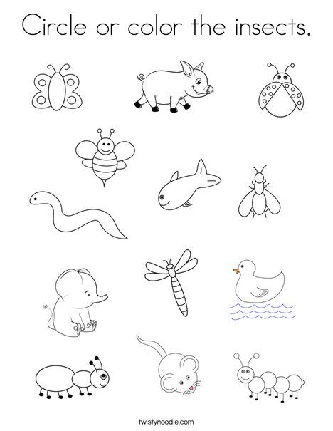 Insect Activity For Preschool, Bugs And Insects Preschool Worksheets, Activities About Insects For Preschool, Insects Worksheets For Kindergarten, Insect Worksheets Kindergarten, Bugs Worksheets Preschool, Insects Worksheets Preschool, Bug Worksheets Preschool Free Printable, Insects Worksheets For Kids