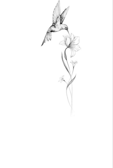 Hummingbird With Orchid Tattoo, Humming Bird Spine Tattoo, Hummingbird Tattoo With Script, Hummingbird Tattoo With Lilies, Hummingbird Tattoo Drawing, Hummingbird Bracelet Tattoo, Family Based Tattoos, Hummingbird And Orchid Tattoo, Hummingbird And Lily Tattoo