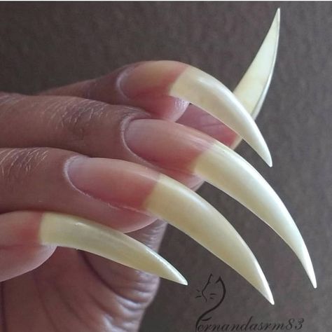 Claw Acrylic Nails, Kitty Claws Nails, Real Long Nails, Cat Claw Nails, Talon Nails, Acrylic Nails Stiletto, Long Natural Nails, Opal Nails, Natural Acrylic Nails