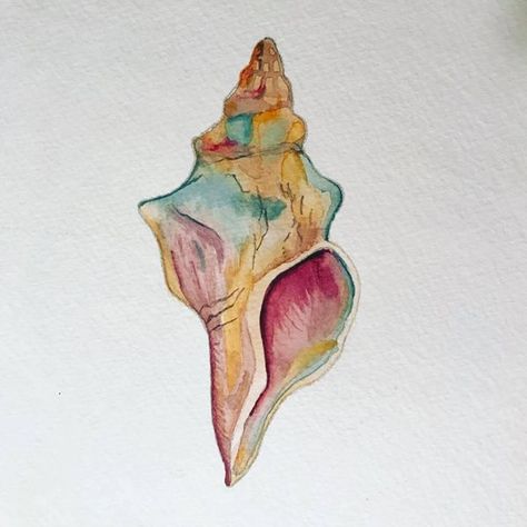 conch shell watercolor Shell Drawing Watercolor, How To Draw A Conch Shell, Conch Shell Watercolor, Conch Shell Sketch, Sea Shell Watercolor Paintings, Shell Watercolor Painting, Conch Shell Art, Conch Tattoo Shell, Conch Shell Drawing