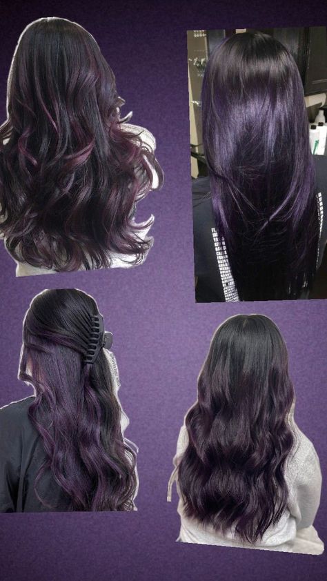 purple hair ideas Dark Brown Hair Purple Tint, Subtle Dark Purple Hair, Purple Hair Inspo Color, Dark Purple Hair With Highlights, Under Hair Dye Purple, Purple Undertone Hair, Black Hair With Purple Ends, Dark Purple Peekaboo Hair, Midnight Violet Black Hair