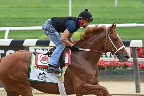 Belmont Stakes: Rich Strike continues to give off positive vibes Belmont Stakes, Kentucky Derby, Horse Racing, Chestnut, Positive Vibes, Kentucky, Victorious, Derby, Horses