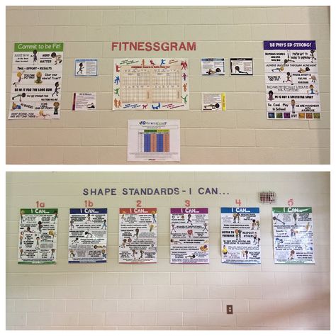 Fitnessgram & Shape Standards Pe Classroom, Fitness Marshall, Data Wall, Yoga Articles, Stability Ball Exercises, Jersey Day, Fitness First, Fitness Bike, Pe Teacher