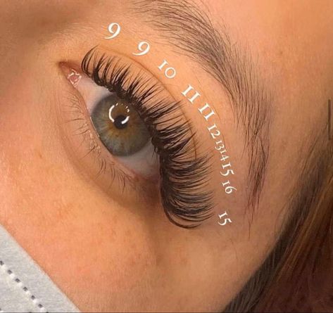 Eyelash Extensions Styles Numbers, Lash Map For Upturned Eyes, Cluster Lashes Eyelash Extensions Mapping, Lash Clusters Extensions Map, Lashes With Numbers, Hybrid Lash Cluster Map, Lashmap Cluster, Lash Cluster Map Natural, Eyelash Cluster Mapping