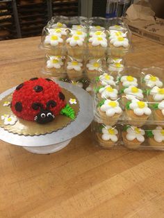 Ladybug smash cake first birthday Ladybug First Birthday Cake, Ladybug Cupcake Cake, Lady Bug First Birthday Girl, Ladybug Birthday Cake Ideas, Ladybug Cakepops, Ladybug First Birthday Party, Ladybug Smash Cake, Baby First Cake, Ladybug First Birthday