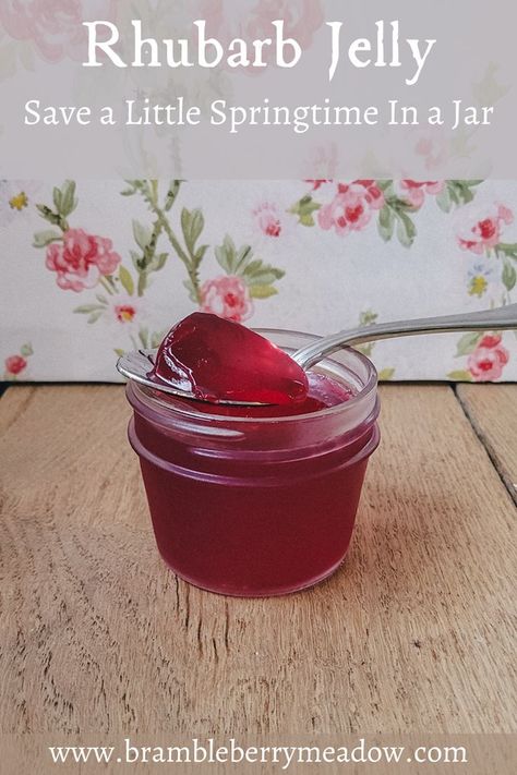 The bright flavor of this easy to make rhubarb jelly lets you save a little Springtime in a jar. Rhubarb Bars Recipes, Rhubarb Jelly, Freeze Rhubarb, Rhubarb Bars, Rhubarb Jam Recipes, Blueberry Jelly, Rhubarb Desserts, Jam Recipes Homemade, Canning Jam