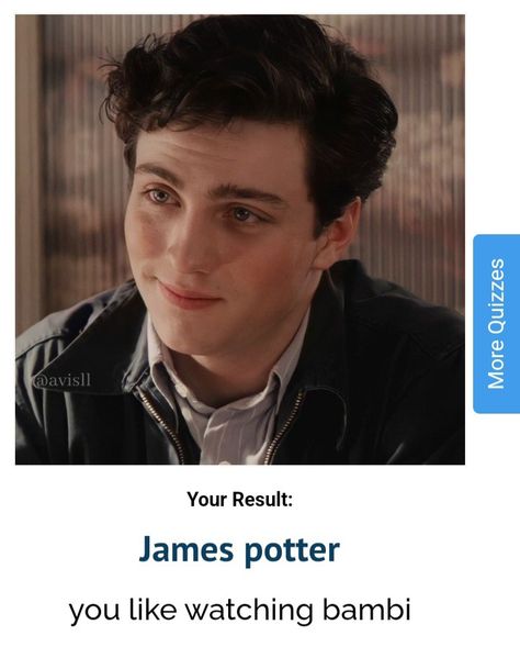 James Potter Wand, Marauders Quizzes, Marauders Quiz, Harry Potter Boyfriend Quiz, Marauders Era Characters, Which Marauder Are You, Who Is Your Harry Potter Boyfriend Quiz, Harry Potter Personality Quizzes, Harry Potter Soulmate Quiz