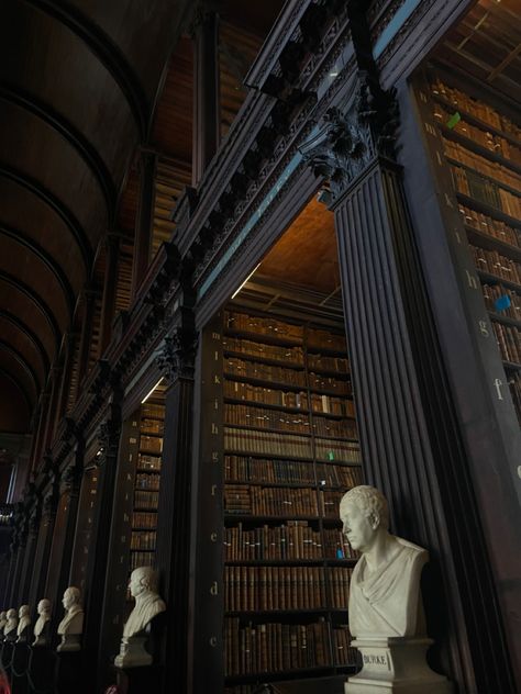 Trinity Core, Underground Library, Dublin Library, Vintage Library Aesthetic, Literature Student, Trinity College Library, Dnd Npc, Library Aesthetic, Vintage Library