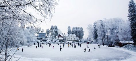 People playing hockey in DIY rink Minnesota Funny, Minnesota Life, Minnesota Winter, Minnesota Travel, Nature Hiking, Canoe Trip, Whitewater Kayaking, Winter Hiking, Travel Design