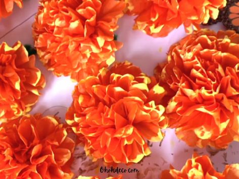 How to Create Realistic Tissue Paper Marigolds Fall Tissue Paper Flowers Diy, Diy Marigold Flowers Tissue Paper, Tissue Paper Marigolds Diy, Tissue Paper Marigolds, Paper Marigolds, Diy Christmas Paper, Tissue Paper Flowers Diy, Marigold Flower, How To Craft