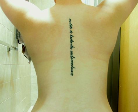 . Tattoos From Books, Nolite Te Bastardes Carborundorum, Literary Tattoo, Poetry Music, Handmaids Tale, Books Poetry, Literary Tattoos, Book Tattoo, Margaret Atwood