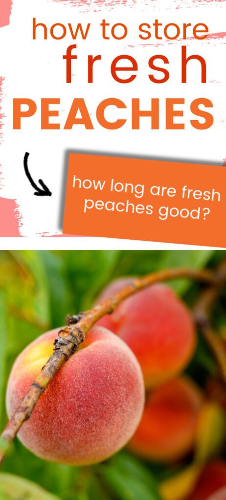 What Can I Do With Fresh Peaches, How To Keep Peaches Fresh Longer, What To Do With Ripe Peaches, How To Peel Peaches Easily, Peach Recipes To Freeze, How To Ripen Peaches, How To Store Peaches, Picking Peaches, Freeze Vegetables