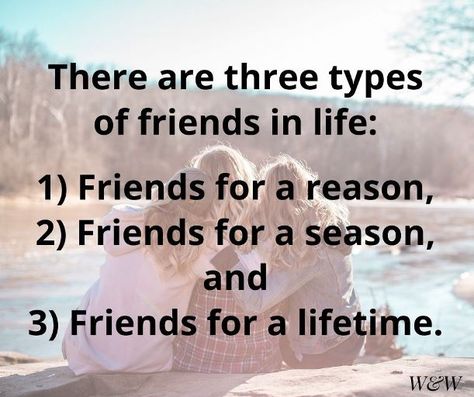 Friends For Seasons Quote, Friends For A Season Quotes, Lifelong Friendship Quotes, Three Types Of Friends, Type Of Friends, Losing Friends Quotes, Types Of Friends, Reason Quotes, Loving Quotes