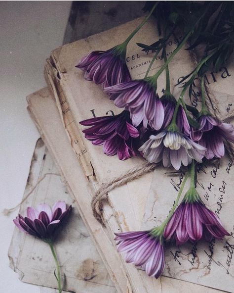 {an oldie but a fav 💜} ...another weekend over in a flash, I’ve been mounting vintage botanical prints all day, there are some beauts (I… Wallpaper Phone, Old Book, Purple Flowers, Purple, Flowers