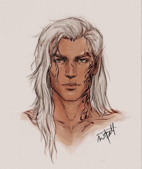 Rhys Cassian Azriel, Rhys Tattoo, Add Tattoo, Heir Of Fire, Cassian Azriel, Rowan And Aelin, Queen Of Shadows, Throne Of Glass Fanart, Fire Fans