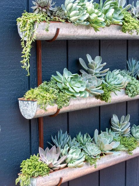 Diy Garden Wall Decor, Succulent Wall Garden, Pot Gantung, Trailing Flowers, Wall Planters Indoor, Tiered Planter, Vertical Wall Planters, Succulent Garden Design, Vertical Garden Diy