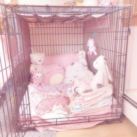 Puppy Cage, Pet Regression, Puppy Room, Girl Math, Puppy Time, Pet Spaces, Pink Puppy, Baby Pink Aesthetic, Little Things Quotes