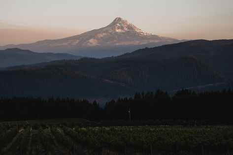 Website has excellent details about the property for guest Cobblestone Patio, Outdoor Dance Floors, Vineyard Wedding Venue, Stone Stairs, Indoor Reception, Hood River, Columbia River Gorge, Columbia River, Photo Blog