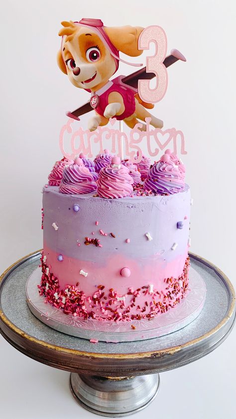 Sprinkle mix: Pink Paw-ty -- Cake by @midnite.creations -- #pawpatrolcakes #pawpatrolcake #charactercake #charactercakes #kidscakes #buttercream #birthdaycake #funfetticake #biscoffcake #delicious #cakesdaily #cotd #cakeit #childrenscake #blueandred #cakespiration #scarboroughcakes #midnitecreations Sky Paw Patrol Cake Ideas, Girly Paw Patrol Cake, Skye Paw Patrol Cake Ideas, Paw Patrol Cakes For A Girl, Sky Birthday Cake Paw Patrol, Paw Patrol Girl Birthday Cake, Girl Paw Patrol Birthday Party, Skye Cake Paw Patrol, Pink Paw Patrol Party Ideas