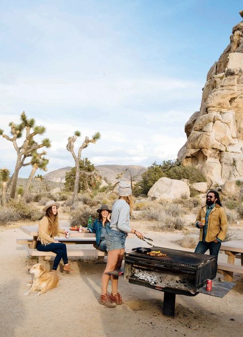 Spartan Aesthetic, Joshua Tree Camping, Desert Retreat, Desert Vacation, Coachella Vibes, Massachusetts Travel, Joshua Tree California, Desert Photography, Spring Break Trips