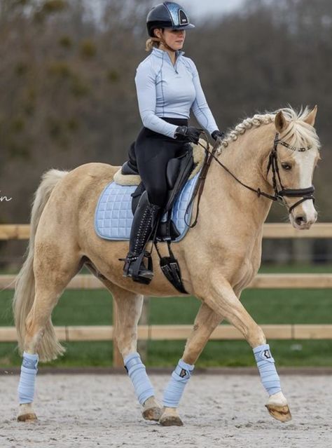 Palomino Tack Colors, Lemuix Sets, Lemieux Set, Horse Outfits, Horse Poses, Cute Horse Pictures, Horse Riding Clothes, Dream Yard, Types Of Horses