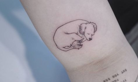 Outline cute sleeping dog tattoo Dog Laying Down Tattoo, Curled Up Dog Tattoo, Dog Curled Up Tattoo, Sleeping Dog Tattoo, Tattoo Dog Outline, Minimal Dog Tattoo, Labrador Tattoo, Dog Outline Tattoo, Tatoo Dog