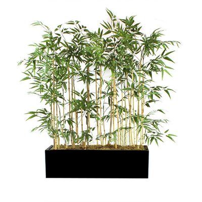 Bayou Breeze Bamboo Hedge In Planter Base Colour: Black Bamboo Hedge, Bamboo Floor, Bamboo Planter, Colorful Planters, Bamboo Stalks, Wood Planter Box, Bamboo Garden, Floor Plants, Artificial Foliage