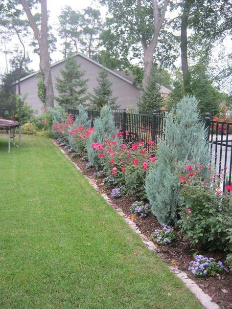 Roses Along Fence, Juniper Landscaping Ideas, Backyard Hedge, Fence Landscaping Privacy, Aluminum Fence Landscaping, Fence Ideas Minecraft, Outdoor Ideas Garden, Backyard Fence Landscaping, Backyard Fencing Ideas