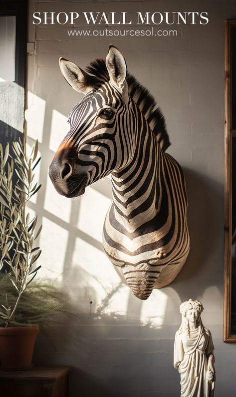 Shop Genuine Collection of Naturally Culled Zebra Shoulder Mounts for your Interior Design Needs. Zebra Taxidermy, Zebra Skin Rug, Zebra Head, Zebra Skin, Zebra Rug, Zebra Wall, Wall Mounts, Architectural Digest, Elle Decor