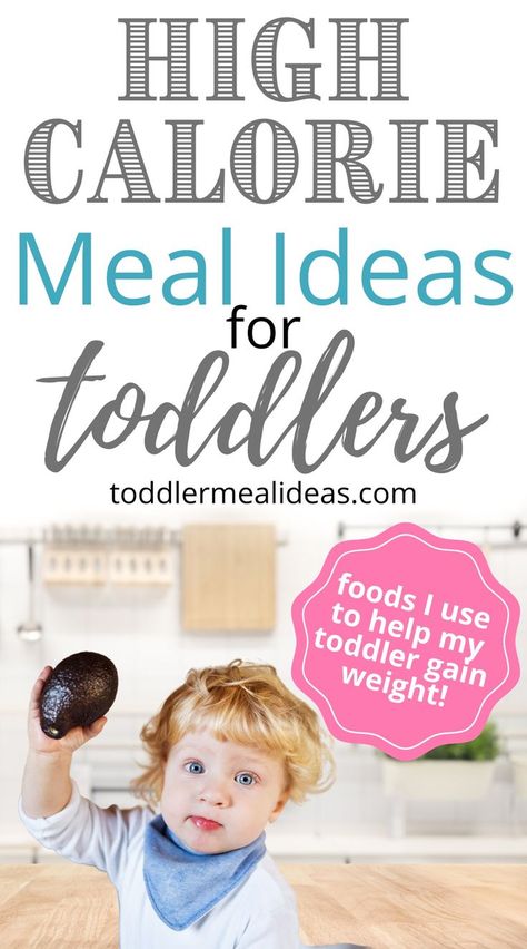 High Calorie Lunches, Meal Ideas For Toddlers, Healthy High Calorie Foods, High Calorie Breakfast, Easy Toddler Lunches, Kid Cooking, High Calorie Diet, High Calorie Snacks, Toddler Meal Ideas