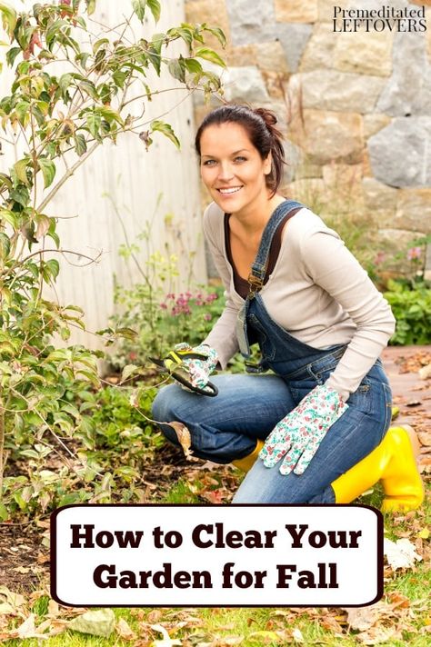 Now is the time to clean out your gardening beds and prepare them for the cold months ahead. To do so, use these tips on How to Clear Your Garden for Fall. Gardening Beds, Fall Backyard, Garden Prepping, Fall Vegetables, Fall Garden Vegetables, Organic Gardening Tips, Seasonal Garden, Garden Care, Autumn Garden