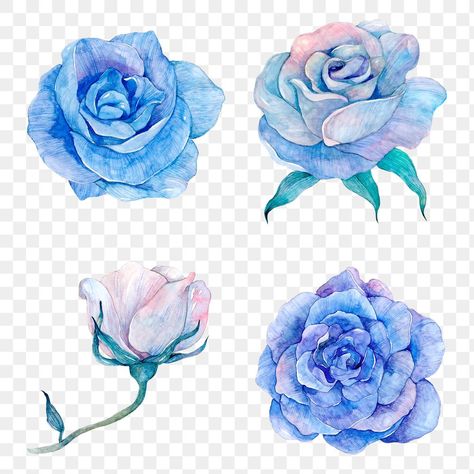 Blue Rose Drawing, Blue Flower Png, Rose Flower Design, Rose Png, About Rose, Rosé Png, Rose Illustration, Rose Drawing, Blue Orchids