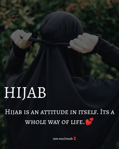 Women In Islam Quotes, Hijab Quotes, Bridal Songs, Appreciate Life Quotes, Quran Book, Muslim Pictures, Pics For Dp, Best Islamic Quotes, Beautiful Status