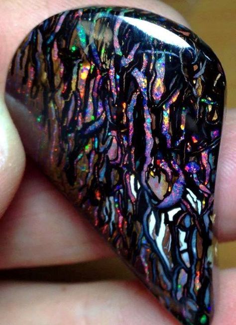 Boulder Opal;  Amazing Geologist Opal Aesthetic, Caillou Roche, Aesthetic Color, Black Stones, Pretty Rocks, Cool Rocks, Oil Slick, Rocks Crystals, Beautiful Rocks