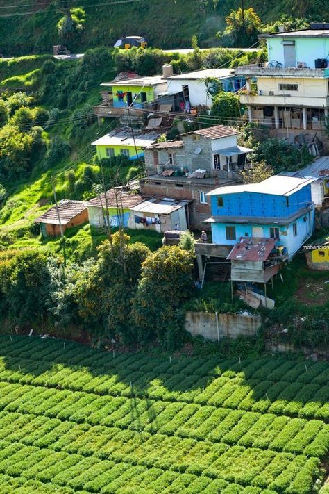 Ooty🌎🌈 Ooty India Photography, India Travel Guide, Mumbai City, Nature Hd, Blur Background In Photoshop, India Photography, World Government, Ooty, Blurred Background